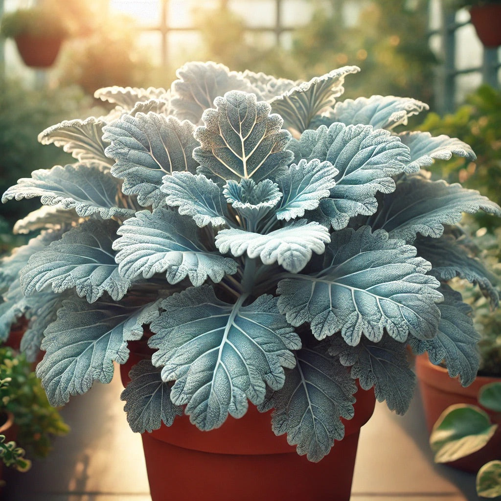Giardinaggio in vaso a marzo: piante ornamentali per balconi e terrazzi
