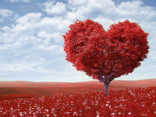 Piante da Regalare per San Valentino: idee romantiche e geniali