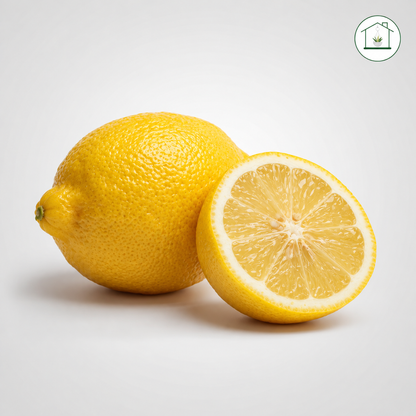 Limone Zagara Bianca Alberello - Citrus limon