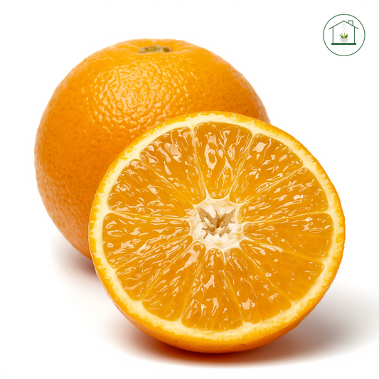 Arancio Newhall Alberello - Citrus sinensis
