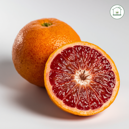 Arancio Sanguinello Alberello - Citrus sinensis