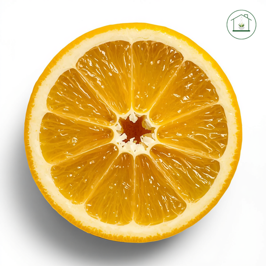 Arancio Vaniglia Apireno Alberello - Citrus sinensis